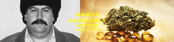 ПСИЛОЦИБИНОВЫЕ ГРИБЫ Нязепетровск