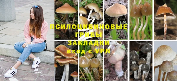 ПСИЛОЦИБИНОВЫЕ ГРИБЫ Нязепетровск