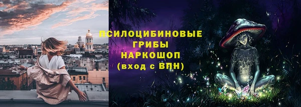 экстази Осташков