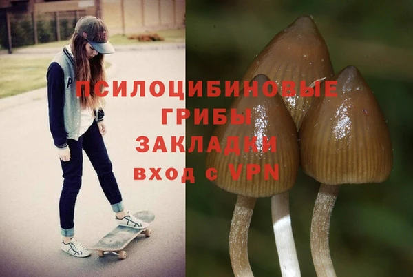 экстази Осташков