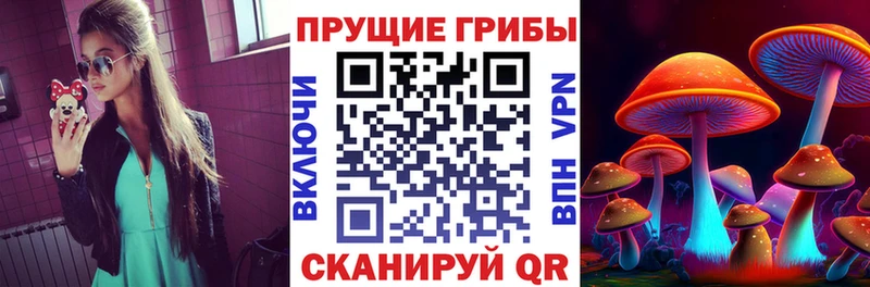 мега вход Слюдянка Галлюциногенные грибы MAGIC MUSHROOMS нарко площадка какой сайт продажа наркотиков